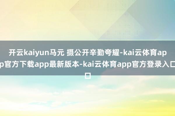 开云kaiyun马元 摄公开辛勤夸耀-kai云体育app官方下载app最新版本-kai云体育app官方登录入口