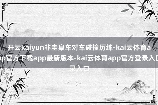 开云kaiyun非圭臬车对车碰撞历练-kai云体育app官方下载app最新版本-kai云体育app官方登录入口